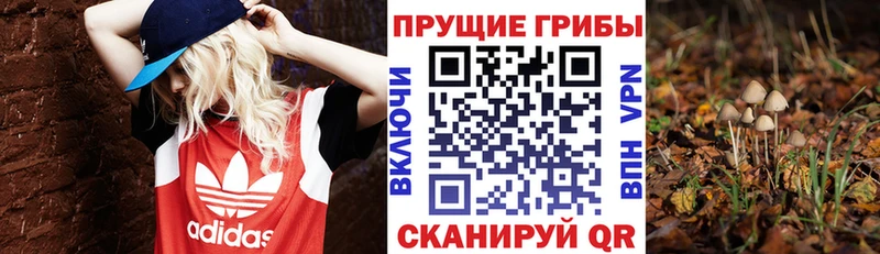 Галлюциногенные грибы Magic Shrooms  Купить где  Орехово-Зуево 